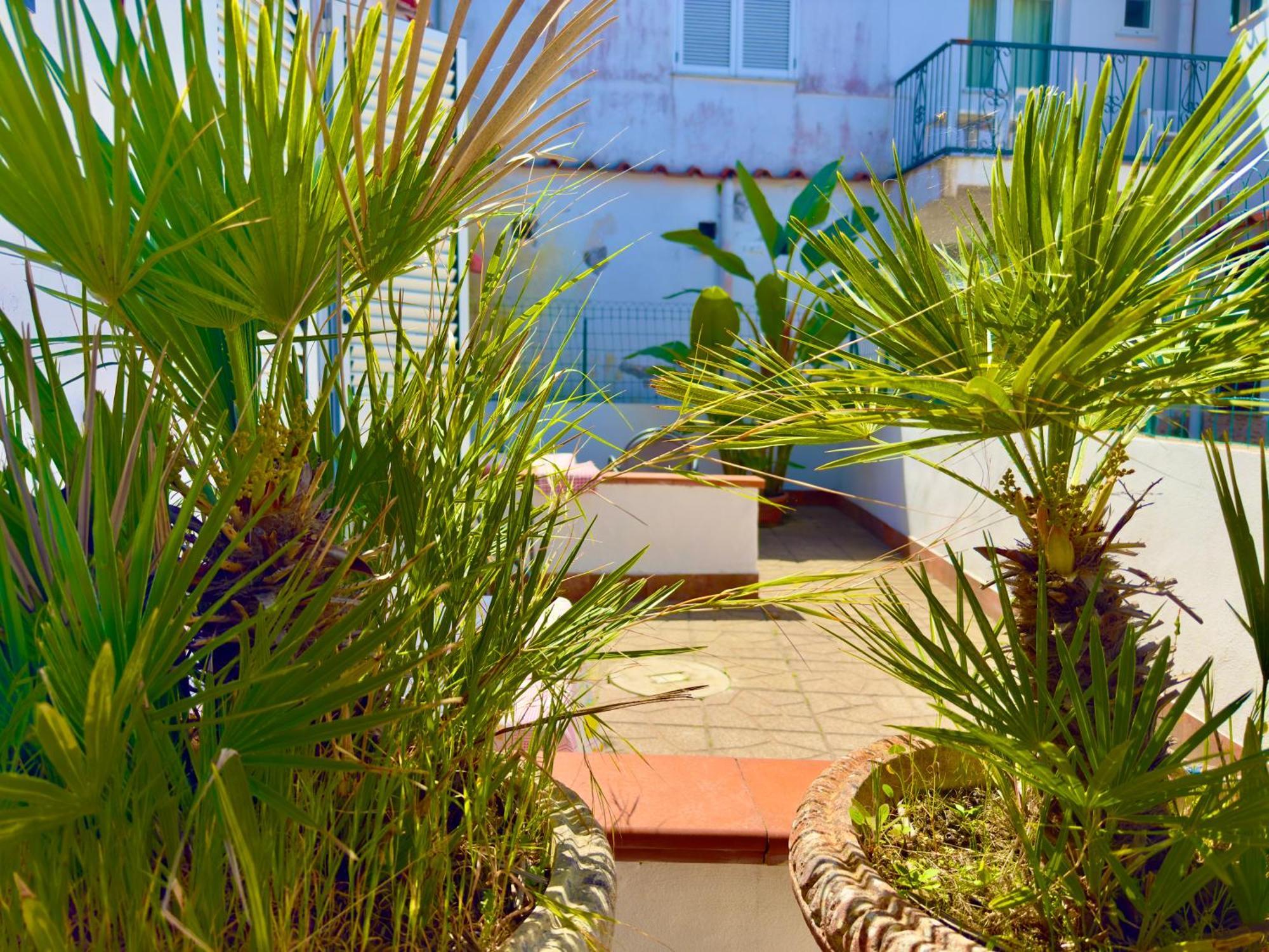 Hotel Villa Fiorentina Casamicciola Terme Exterior foto